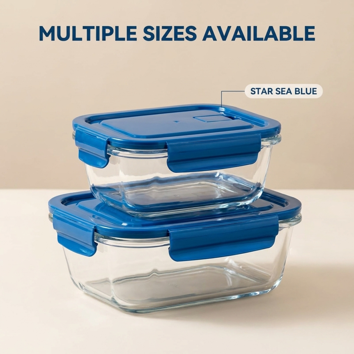 2 Pack Glass Lunch Box Borosil - Meal Prep Diet reseña y precio