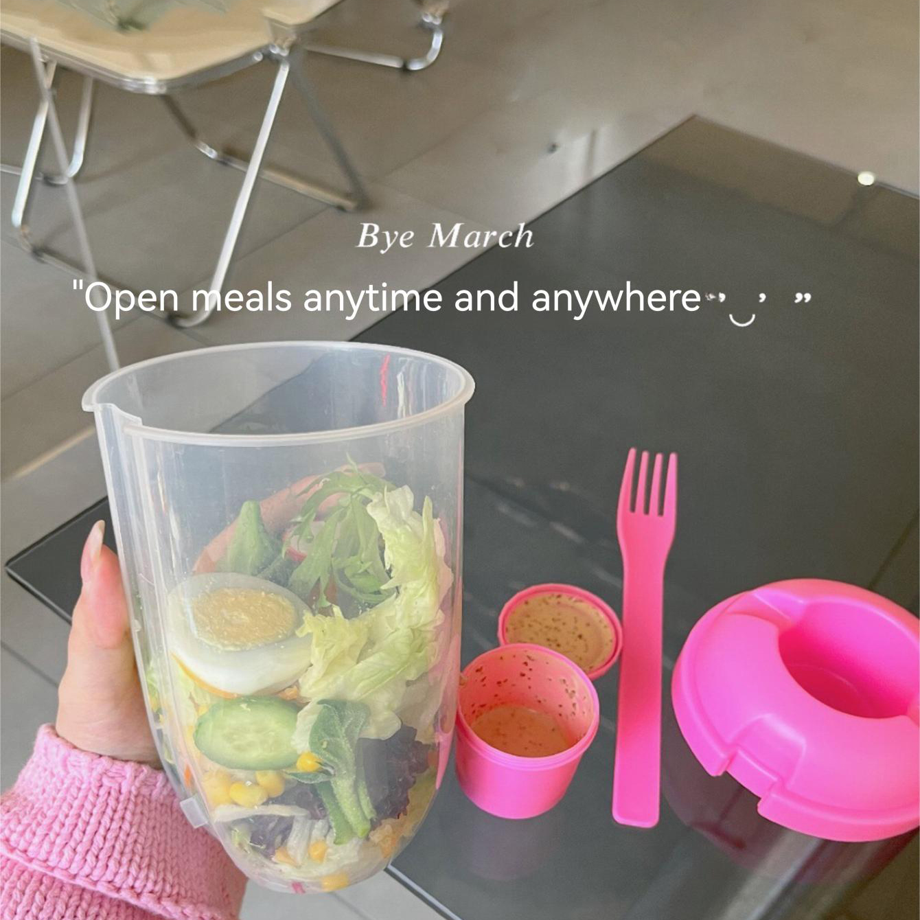 3In1 Portable Salad Cup Breakf - Meal Prep Bowl reseña y precio