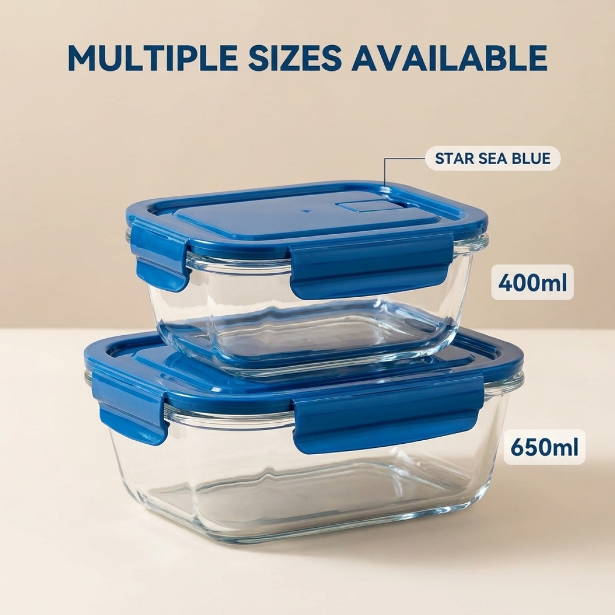 2 Pack Glass Lunch Box Borosil - Meal Prep Diet reseña y precio